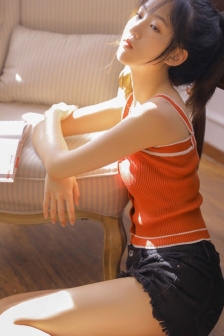 偷心女盗